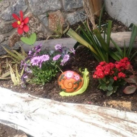 Nemesis Paleochora Apartman Hriszí Aktí Haniá Kültér fotó