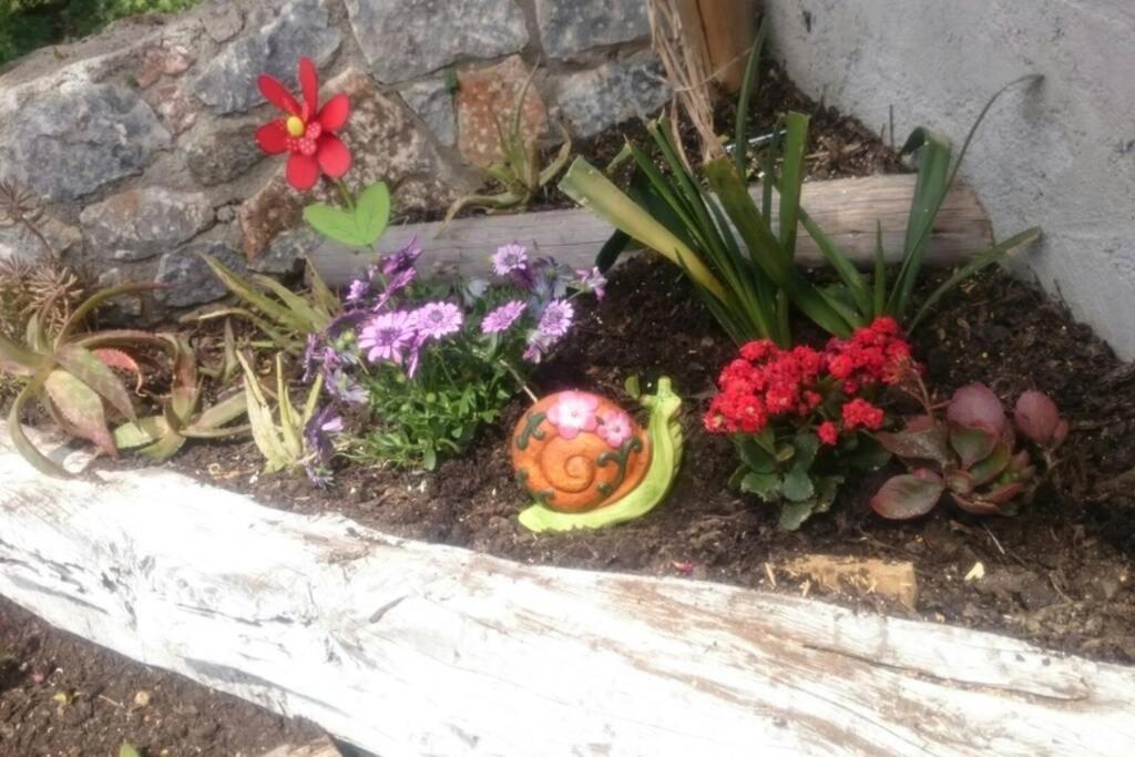 Nemesis Paleochora Apartman Hriszí Aktí Haniá Kültér fotó